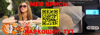 стафф Кингисепп