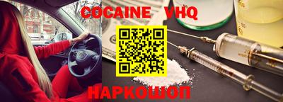 стафф Кингисепп