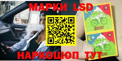 стафф Кингисепп