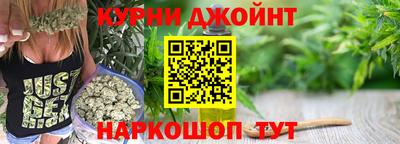 стафф Кингисепп