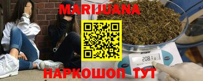 стафф Кингисепп