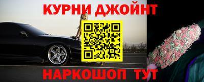 стафф Кингисепп