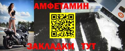 стафф Кингисепп