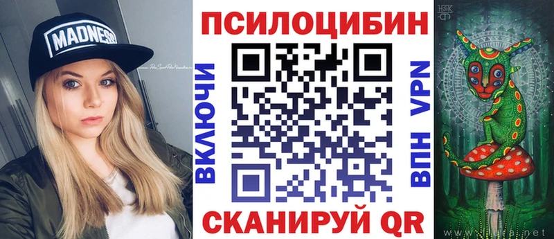 хочу   Старая Купавна  Галлюциногенные грибы Psilocybe 