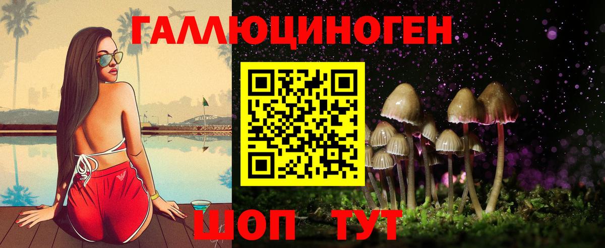 Псилоцибиновые грибы Psilocybe  Вход с VPN  Старая Купавна 