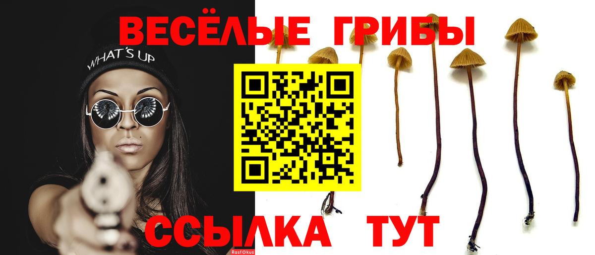 Псилоцибиновые грибы ЛСД Старая Купавна